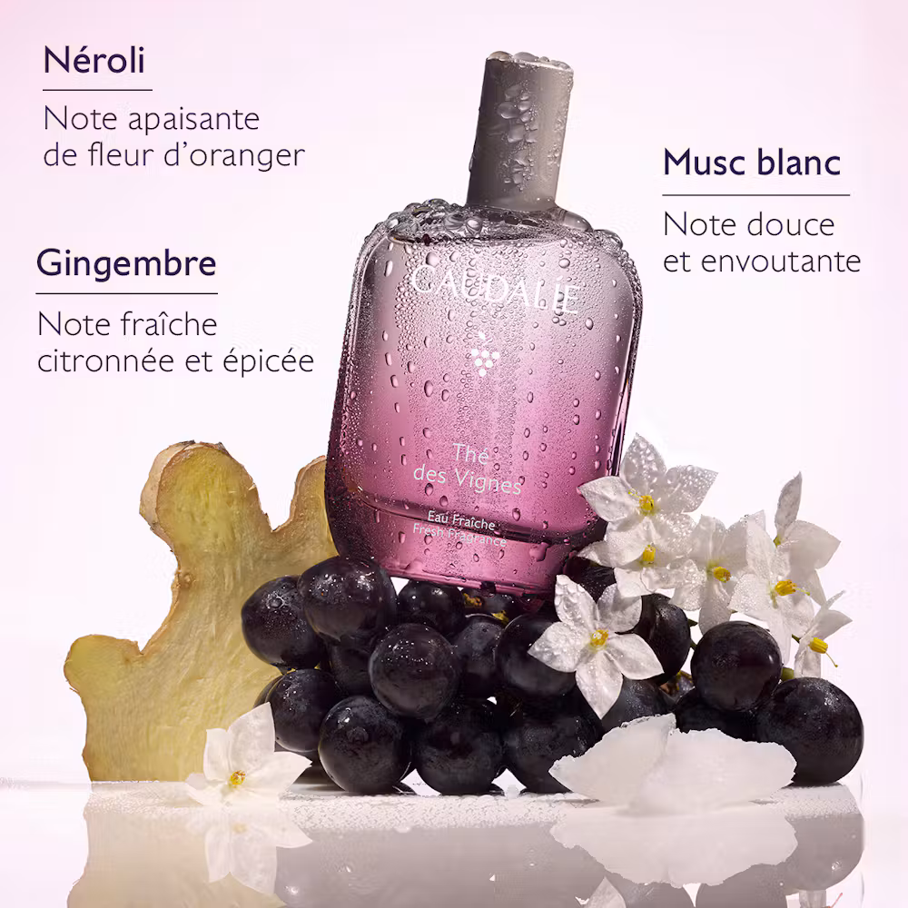 Eau Fraîche Thé des Vignes