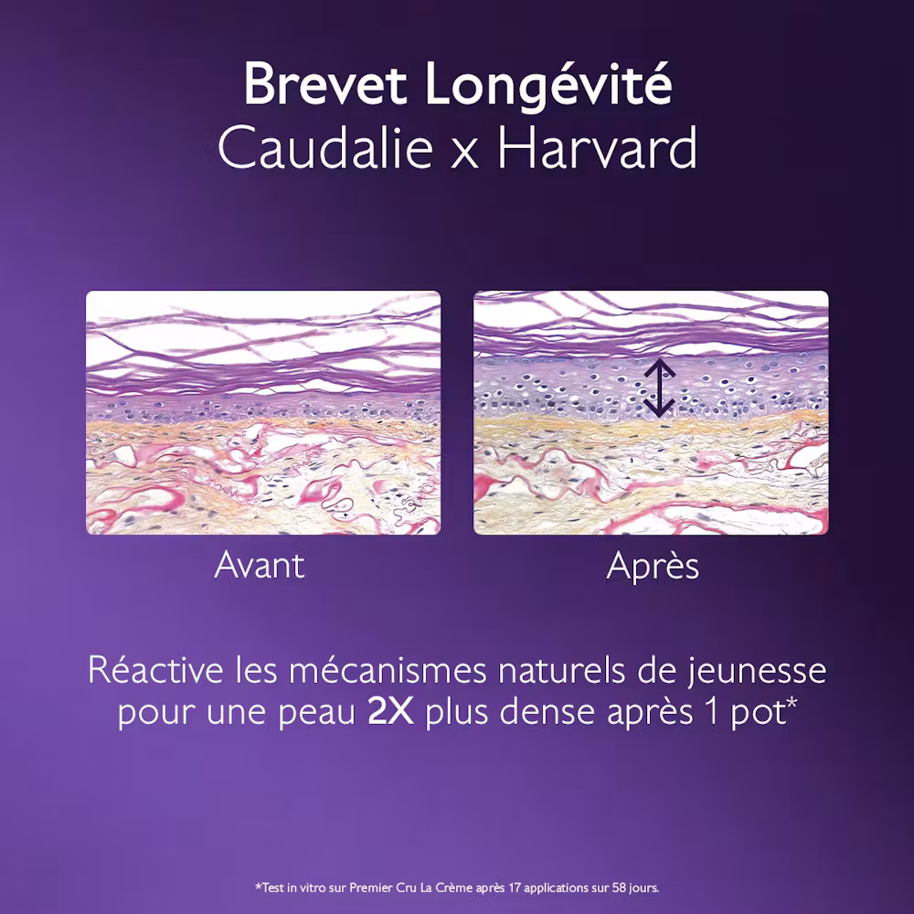 La Crème Anti-Âge Global - Recharge